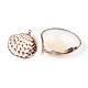 Electroplate Sea Shell Pendants(SSHEL-T006-04)-2