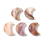 Natural Amethyst Lace Agate Pendants, Vertical Hole, Moon, 30x23.5~24.5x8~8.5mm, Hole: 1.4mm(G-A244-08C)