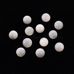 Natural Trochid Shell/Trochus Shell Beads, Half Drilled, Round, Seashell Color, 4mm, Hole: 0.8mm(SSHEL-T014-29D)