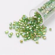 11/0 Two Cut Round Hole Glass Seed Beads, Hexagon, Silver Lined, Rainbow Plated, Yellow Green, 2x2mm, Hole: 0.5mm, about 41000pcs/pound(SEED-G006-2mm-649)