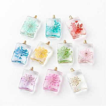 Rectangle Alloy Glass Pendants, Cadmium Free & Lead Free, with Dried Flower Inside, Light Gold, 30x18x10mm, Hole: 1.5mm