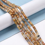 Natural Crazy Agate Beads Strands, Flat Round, 4x2mm, Hole: 1mm, about 169pcs/strand, 14.96''(38cm)(G-P468-09)
