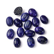 Natural Lapis Lazuli Cabochons, Oval, 8~8.5x6~6.5x2.5~3.5mm(G-A094-01B-04)