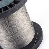 Tiger Tail Wire, Nylon-coated 304 Stainless Steel, Silver, 0.3mm, about 10826.77 Feet(3300m)/1000g(TWIR-S003-0.3mm-1)