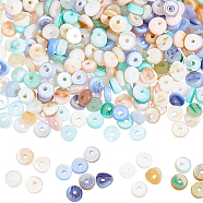 2 Strands 4 Colors Natural Shell Beads Strands, Dyed, Flat Round, Mixed Color, 4x0.5~2.5mm, Hole: 0.8mm, about 100~115pcs/strand, 7.58 inch(19.25cm), 0.5 strand/color(BSHE-NB0001-27)