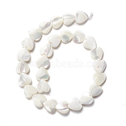 Natural Trochid Shell/Trochus Shell Beads, Peach Heart, Seashell Color, 15.5x15.5x3~4mm, Hole: 0.9mm, about 27pcs/strand, 16.48 inch(41.85cm)(SSHEL-O001-27D)