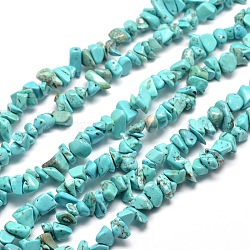 Synthetic Turquoise Chip Bead Strands, Dyed, 5~8x5~8mm, Hole: 1mm, about 31.5 inch(X-G-M205-77)