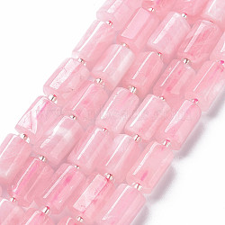 Natural Rose Quartz Beads Strands, Faceted, Column, 11~15x8~11x5~7mm, Hole: 1mm, about 12~15pcs/strand, 7.44~7.8 inch(18.9~19.8cm)(X-G-S345-8x11-014A)
