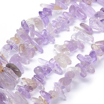Natural Ametrine Beads Strands, Chip, 12~20x6~8mm, Hole: 1mm, 15.3 inch(39cm)