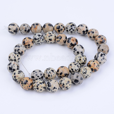 Natural Dalmatian Jasper Beads Strands(X-G-Q462-6mm-30)-2