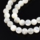 brins de perles de coquillage blanc naturel(X-SSHEL-N003-144D-01)-3