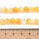 Natural Yellow Shell Beads Strands(SH-CBACA76-16A)-4