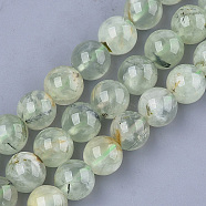 Natural Prehnite Beads Strands, Round, 10mm, Hole: 1mm, about 38~39pcs/strand, 15.3 inch(G-S333-10mm-032)