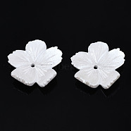 Opaque Resin Bead Caps, 5-Petal, Flower, White, 29x30x7mm, Hole: 2mm(RESI-S364-56)