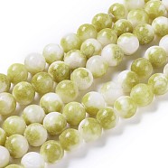 Natural Persian Jade Beads Strands, Dyed, Round, Olive, 8mm, Hole: 1.2~1.5mm, about 50pcs/strand, 16 inch(G-D434-8mm-29)