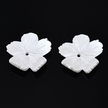 Opaque Resin Bead Caps, 5-Petal, Flower, White, 29x30x7mm, Hole: 2mm