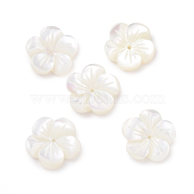 Natural Trochid Shell/Trochus Shell Beads(SHEL-P014-02D)-2