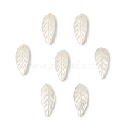 Natural Sea Shell Pendants, Leaf Charms, 27x11x1mm, Hole: 1.4mm(SSHEL-T012-12)