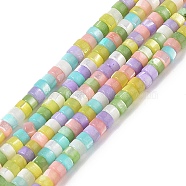 Natural Trochid Shell/Trochus Shell Beads Strands, Dyed, Rondelle, Mixed Color, 3.5~4x2~2.5mm, Hole: 0.9mm, about 155pcs/strand, 15.04''(38.2cm)(BSHE-H018-04)