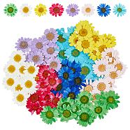 80Pcs 8 Colors Pressed Dried Flowers, for Cellphone, Photo Frame, Scrapbooking DIY and Resin Art Floral Decors, Mixed Color, 26~34x1mm, 10pcs/color(DIY-HY0001-73)
