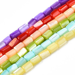 Natural Freshwater Shell Beads Strands, Dyed, Column, Mixed Color, 4~5x3~3.5mm, Hole: 0.9mm, about 77~78pcs/strand, 15.55 inch~15.75 inch(39.5~40cm)(SHEL-N003-26)