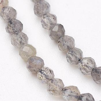 Natural Labradorite Bead Strands, Faceted, Round, 2mm, Hole: 0.5mm, about 200pcs/strand, 15.5 inch