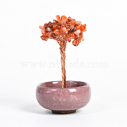 Natural Carnelian Chips Tree Display Decorations, with Random Color Porcelain Bowls, Copper Wire Wrapped Feng Shui Ornament for Fortune, 66x100~110mm(PW23051677266)