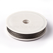 Tiger Tail Wire, Nylon-coated Stainless Steel, Original Color(Raw), Raw, 0.6mm, about 131.23 Feet(40m)/roll(TWIR-40R0.6MM-1)
