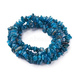 Natural Apatite Beads Strands, Chip, 4~13x3~12x1~6mm, Hole: 1mm, about 33 inch~34.2 inch(84~87cm)(X-G-P427-02)