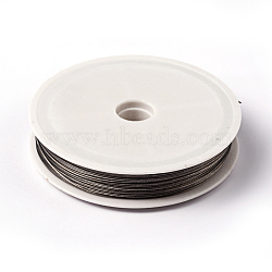 Tiger Tail Wire, Nylon-coated Stainless Steel, Original Color(Raw), Raw, 0.6mm, about 131.23 Feet(40m)/roll(TWIR-40R0.6MM-1)