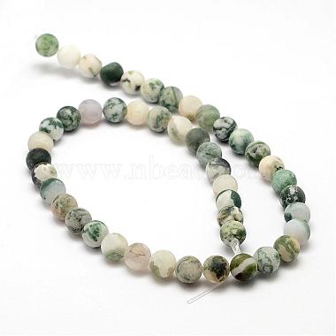 Natural Tree Agate Frosted Agate Round Gemstone Beads Strands(G-O151-01-10mm)-2