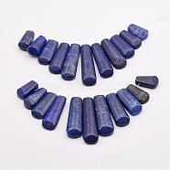 Natural Lapis Lazuli Beads Strands, Graduated Fan Pendants, Focal Beads, Dyed, 16~39x9.5~10x5mm, Hole: 1mm, 11pcs/strand, 3.27 inch(G-P298-I01)