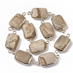 Edge Golden Plated Natural Picture Jasper Links connectors, with Golden Tone Iron Loops, Rectangle, 26~27x13.5x6~7mm, Hole: 1.6~1.8mm(G-S359-034E)