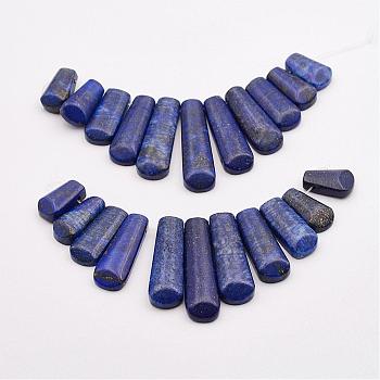 Natural Lapis Lazuli Beads Strands, Graduated Fan Pendants, Focal Beads, Dyed, 16~39x9.5~10x5mm, Hole: 1mm, 11pcs/strand, 3.27 inch