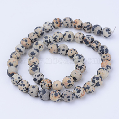 Chapelets de perles en jaspe dalmatien naturelle(X-G-Q462-8mm-05)-2
