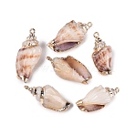 Electroplated Golden Brass Trim Natural Spiral Shell Pendants, Conch Charms, Sandy Brown, 29~35x14~17x12~15mm, Hole: 1.8mm(SSHEL-N042-27)