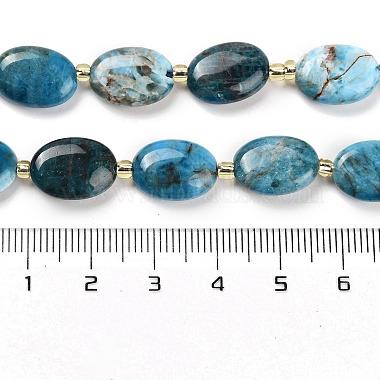 Natural Apatite Beads Strands(G-H005-A03-02)-5