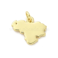 Brass Pendants, Map Charms, Rack Plating, Long-Lasting Plated, Lead Free & Cadmium Free, with Jump Ring, Real 18K Gold Plated, 16.5x13.5x1.2mm, Hole: 3.3mm(KK-S511-25G)