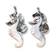 Natural Paua Shell & Black Lip Shell & White Shell Pendants, Sea Horse Charms with Stainless Steel Color Tone Stainless Steel Snap on Bails, 59x35x4mm, Hole: 6.5x4.2mm(FIND-A041-02C-P)