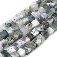 Natural Tree Agate Beads Strands, Cube, 4~5x4~5x4~5mm, Hole: 1mm, about 80~82pcs/strand, 14.9 inch(G-R451-02)
