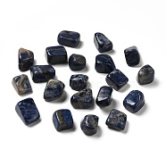 Natural Sodalite Beads, No Hole, Nuggets, Tumbled Stone, Healing Stones for 7 Chakras Balancing, Crystal Therapy, Meditation, Reiki, Vase Filler Gems, 16~36x12~30.5x3.5~25mm(G-O029-08P)