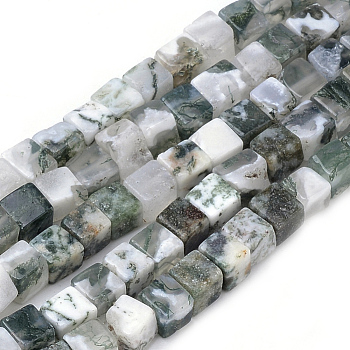 Natural Tree Agate Beads Strands, Cube, 4~5x4~5x4~5mm, Hole: 1mm, about 80~82pcs/strand, 14.9 inch