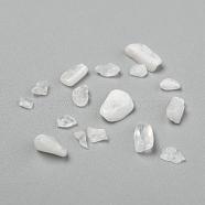 Natural White Moonstone Chip Beads, No Hole/Undrilled, 3~9x1~4mm(G-L453-10A)