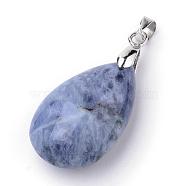 Natural Sodalite Pendants, with Alloy Findings, teardrop, Platinum, 23~24x14x8mm, Hole: 4x5mm(G-S243-16)