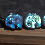 Natural Labradorite Carved Healing Elephant Figurines, Reiki Energy Stone Display Decorations, 35x28mm(PW-WG69479-01)