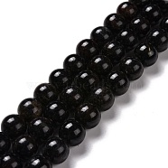 Natural Astrophyllite Beads Strands, Round, 10mm, Hole: 1mm, about 39pcs/strand, 15.16''(38.5cm)(G-A202-01C)