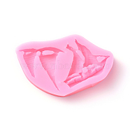 Food Grade Silicone Molds, Fondant Molds, For DIY Cake Decoration, Chocolate, Candy, UV Resin & Epoxy Resin Jewelry Making, Boat, Pink, 100x60x16mm(DIY-E011-19)