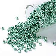 TOHO Round Seed Beads, Japanese Seed Beads, (561) Galvanized Southwest Green, 8/0, 3mm, Hole: 1mm, about 222pcs/10g(X-SEED-TR08-0561)