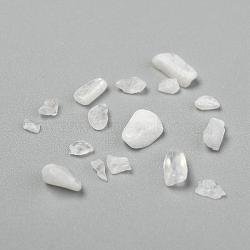 Natural White Moonstone Chip Beads, No Hole/Undrilled, 3~9x1~4mm(G-L453-10A)