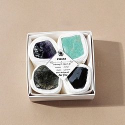 4Pcs 12 Zodiac Signs Series Natural Mixed Gemstone Decorations, Feng Shui Energy Stone Gift for Home Office Desktop, Pisces, 20~38x20~38x20~38mm(DJEW-B016-12)